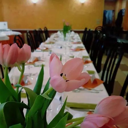 호텔 Ristorante Il Delfino 3*