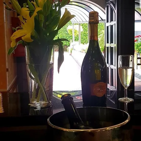 Ristorante Il Delfino 3* 노바라