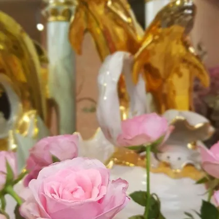 Ristorante Il Delfino 호텔