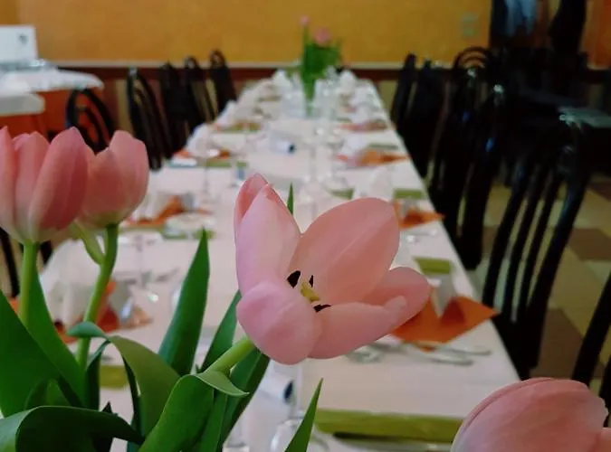 Hotel Ristorante Il Delfino 3*