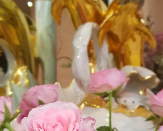 Ristorante Il Delfino Hotel